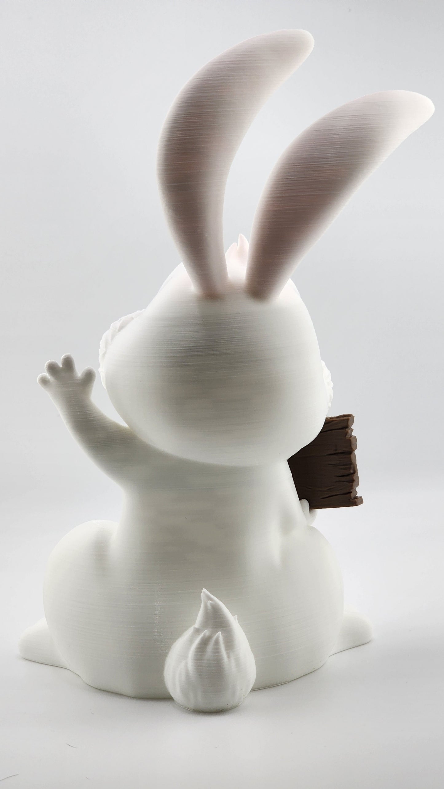 Here Bunny Sign