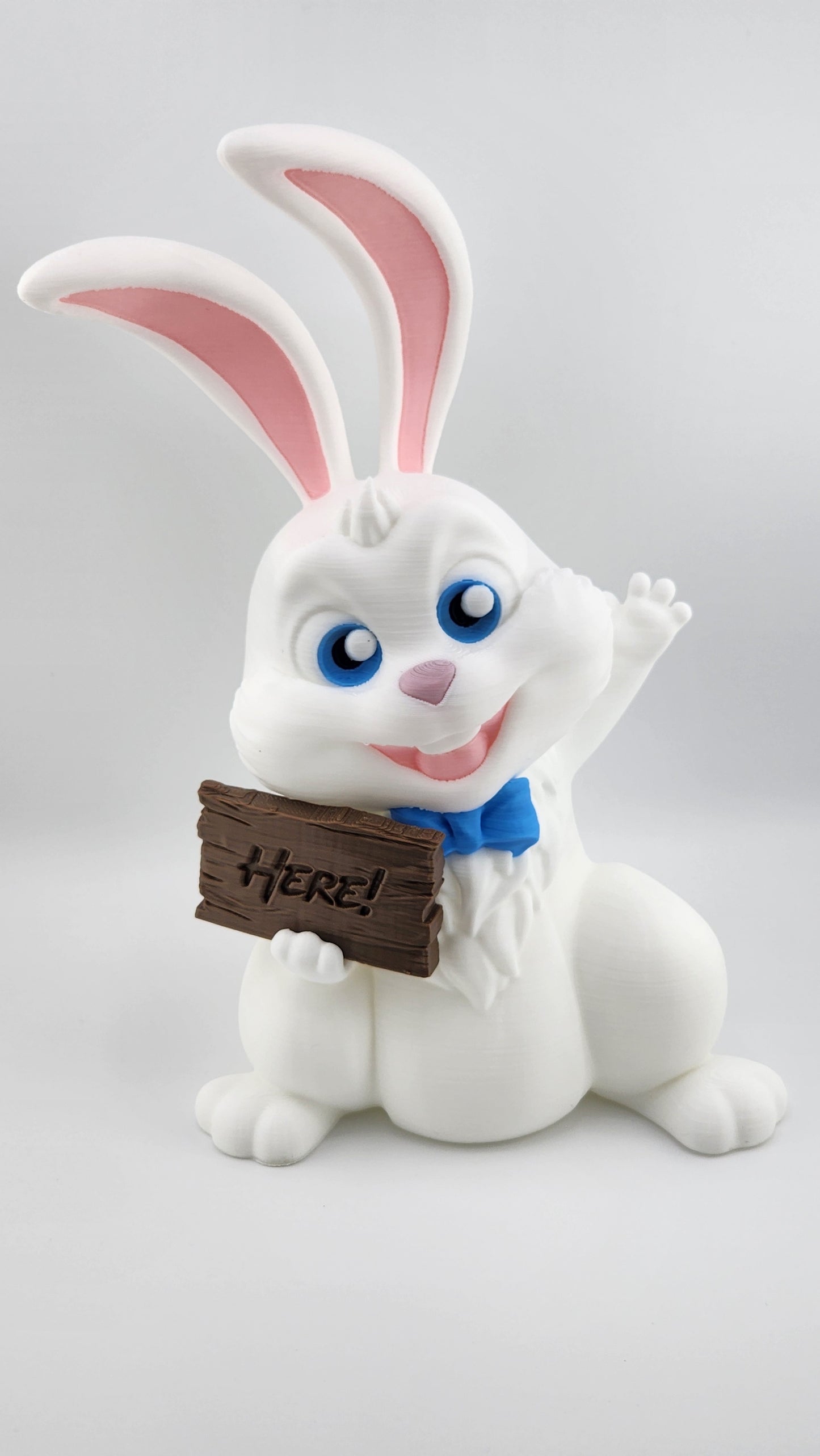 Here Bunny Sign