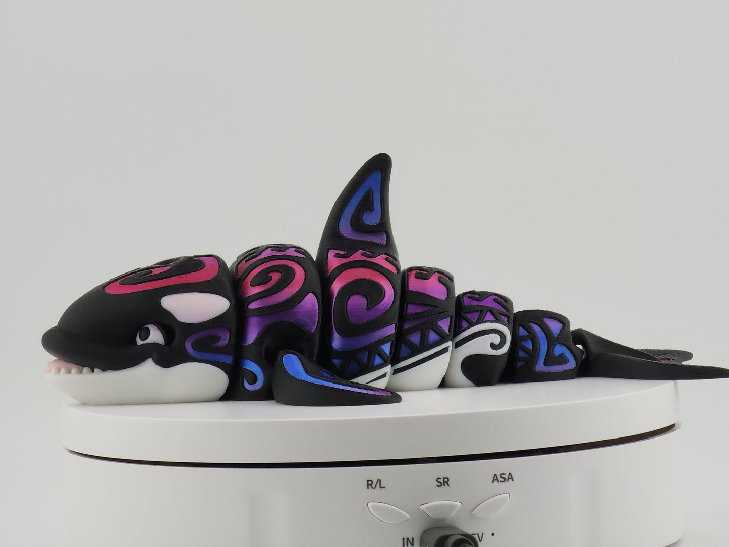 Articulated Tattooed Orca Stands on Tail